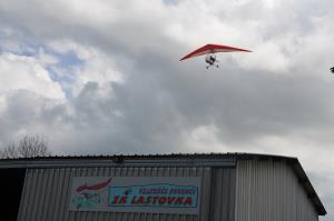 Lastovke v zraku - Miran